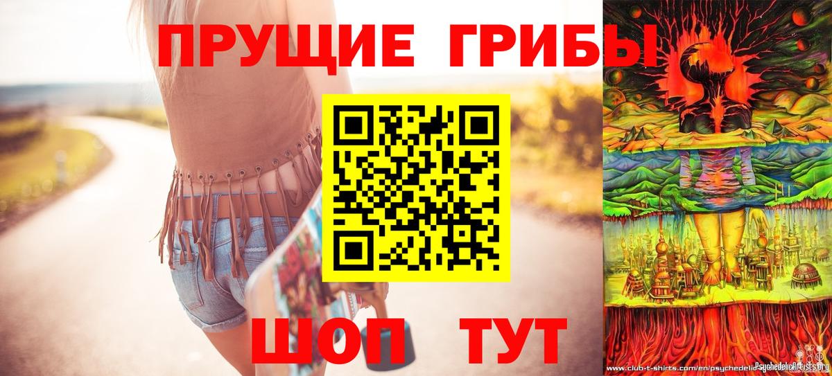 Галлюциногенные грибы Psilocybe  Вход с VPN  Малоярославец  Псилоцибиновые грибы GOLDEN TEACHER 
